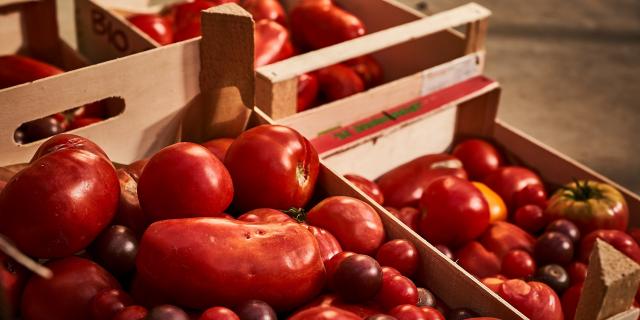 Caisses de tomates - Jardins de Cocagne de Limon - Vauhallan