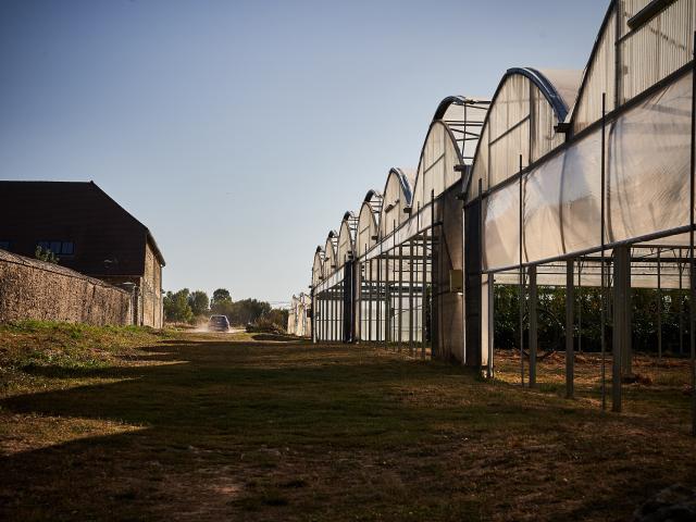 Serres des Jardins de Cocagne de Limon - Vauhallan