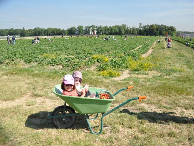 Ferme de Viltain - les champs et enfants