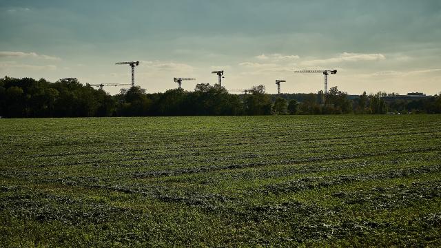 Ferme de la Martinière - champ, grues