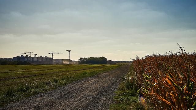 Ferme de la Martinière - chemin dans les champs