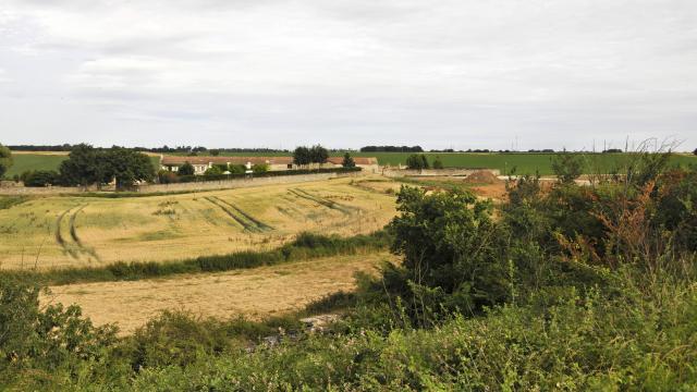 Ferme du Trou Salé - champs, bâtiments