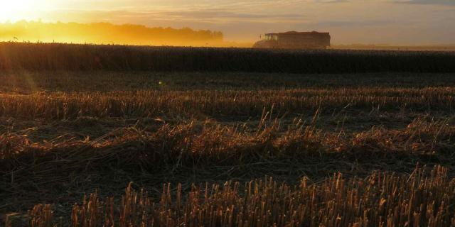 Moisson - Soleil couchant et camion