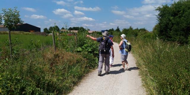 Visite du Plateau de Saclay