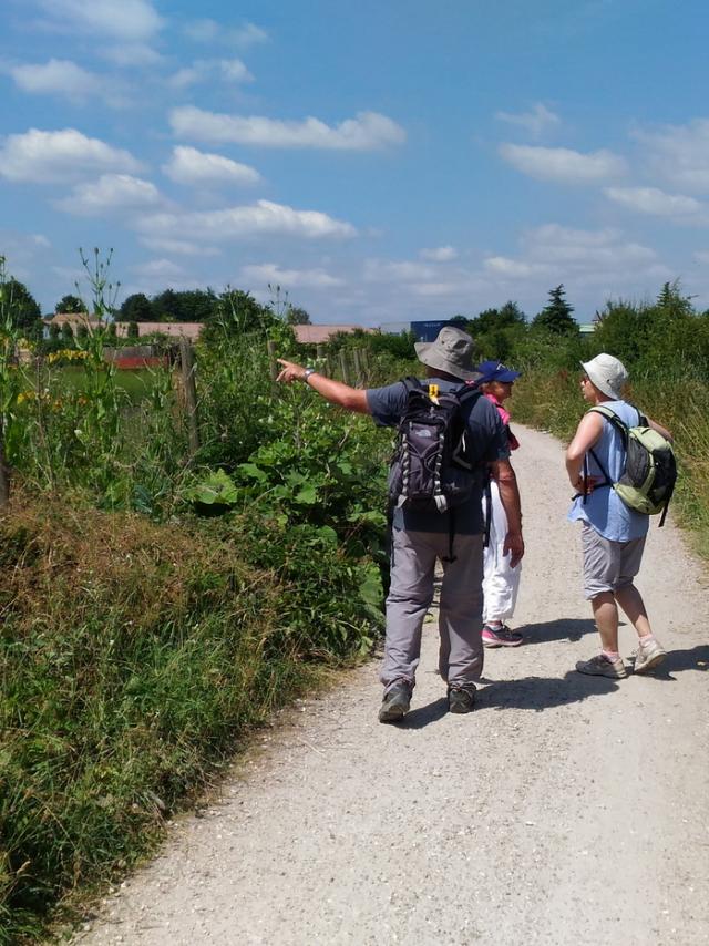 Visite du Plateau de Saclay