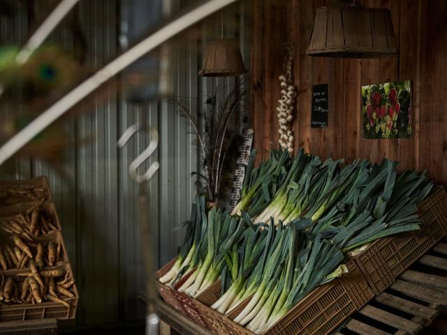 Ferme Trubuil - vente de poireaux