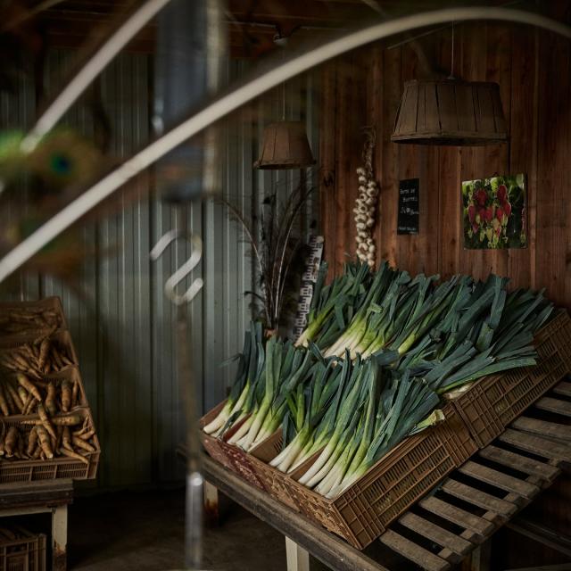 Ferme Trubuil - vente de poireaux