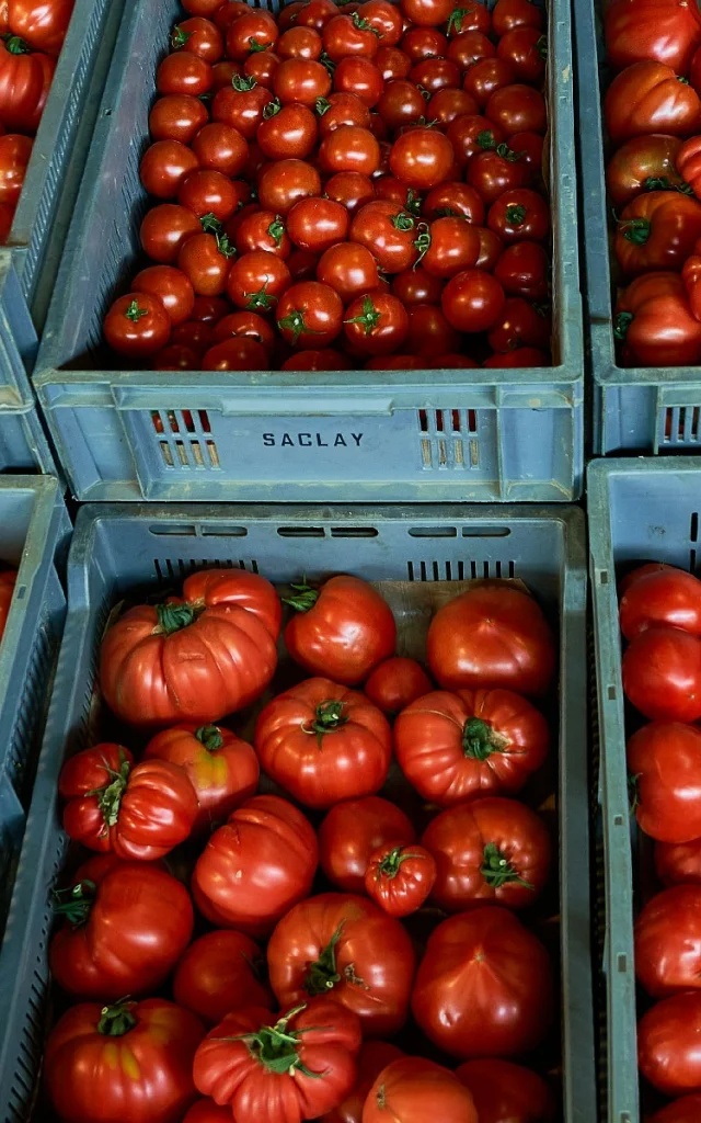 Ferme Trubuil - caisses de tomates