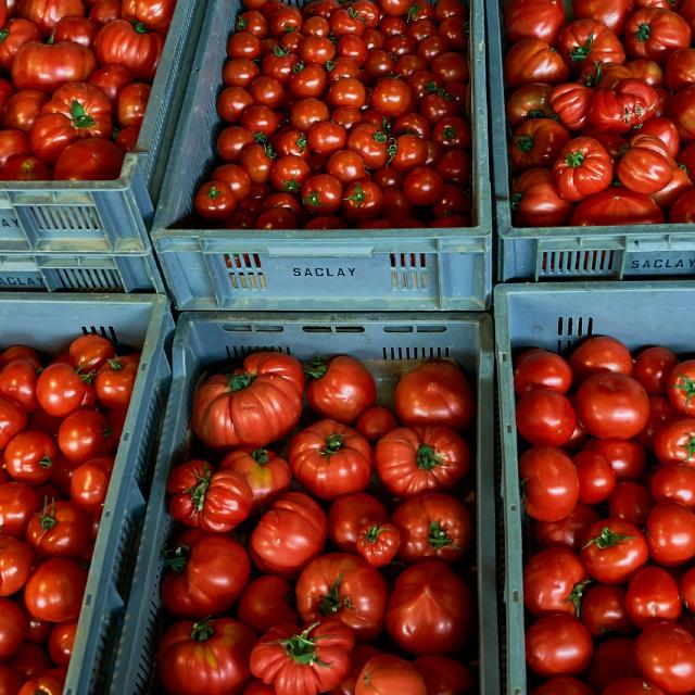 Ferme Trubuil - caisses de tomates