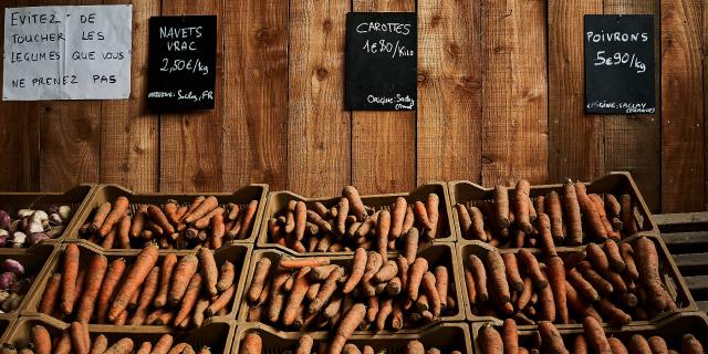 Ferme Trubuil - vente de carottes