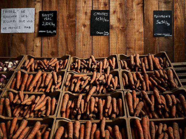 Ferme Trubuil - vente de carottes