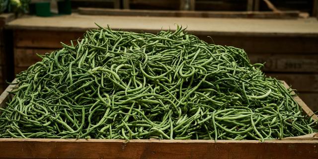 Ferme Trubuil harictos verts dans caisse en bois