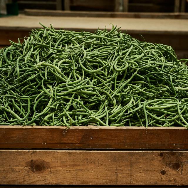 Ferme Trubuil harictos verts dans caisse en bois