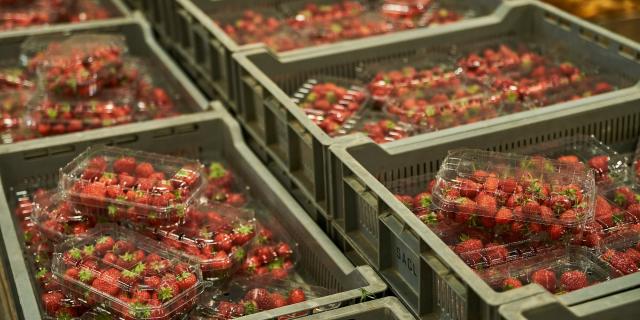 Ferme Trubuil - barquettes de fraise