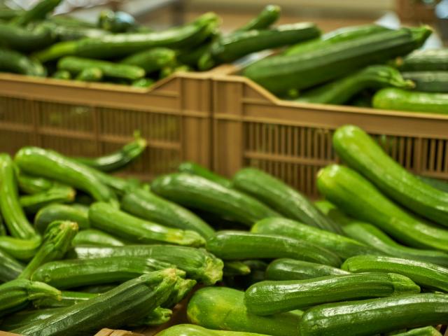 Ferme Trubuil - caisses de courgettes