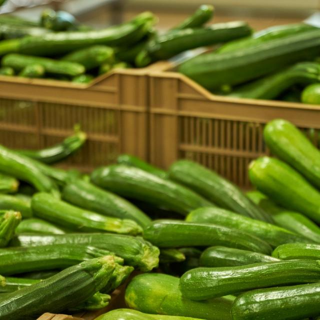 Ferme Trubuil - caisses de courgettes