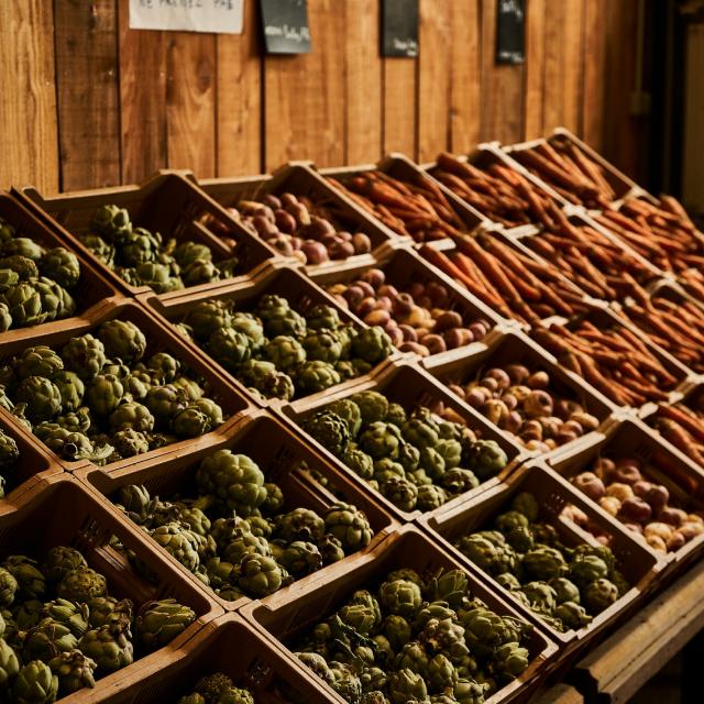 Ferme Trubuil - étal de légumes