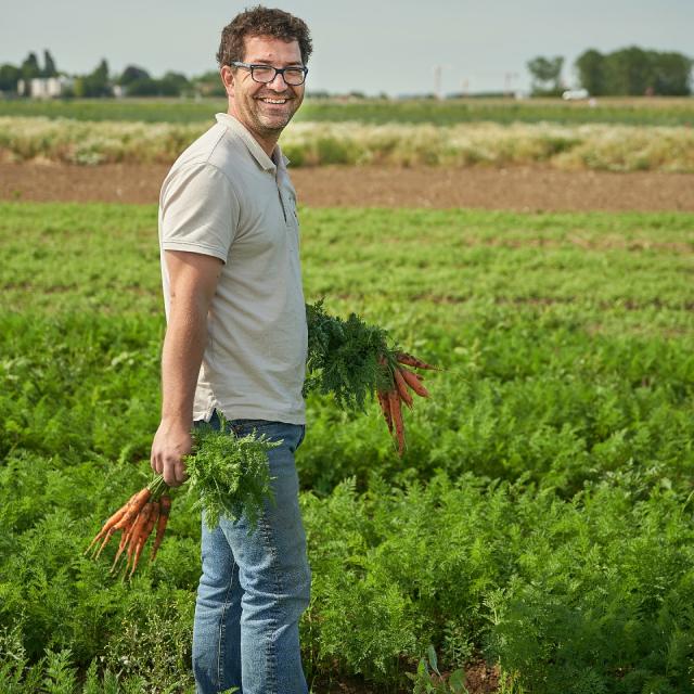 Ferme Trubuil - Pierre Bot ramassant des carottes