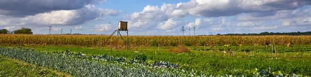 La Ferme de Serge - Panorama champs