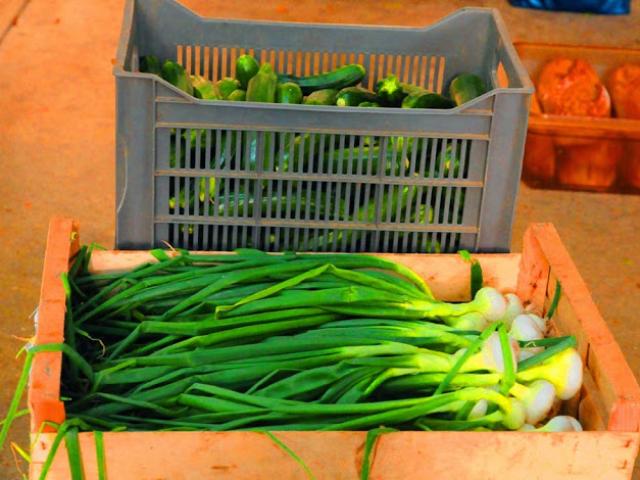 AMAP Les près d'chez vous - oignons et courgettes