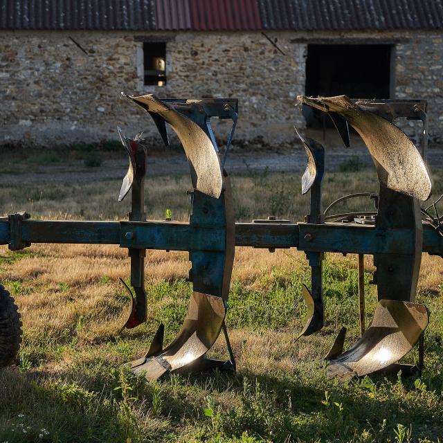 Ferme d'Orsigny - charrue