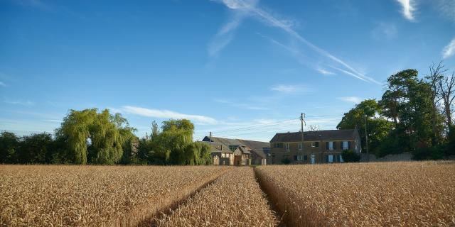 Ferme d'Orsigny - champ de blé et corps de ferme