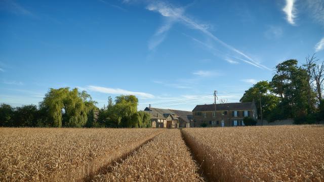 Ferme d'Orsigny - champ de blé et corps de ferme