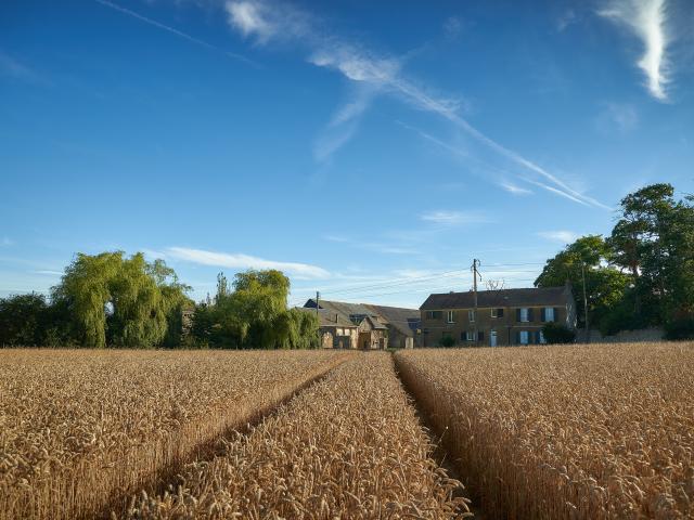 Ferme d'Orsigny - champ de blé et corps de ferme