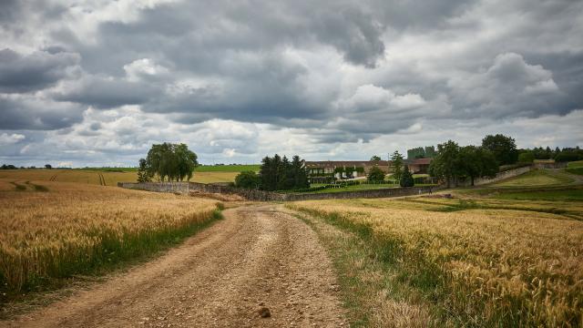 Ferme Du Trou Salé - chamin dans les champs