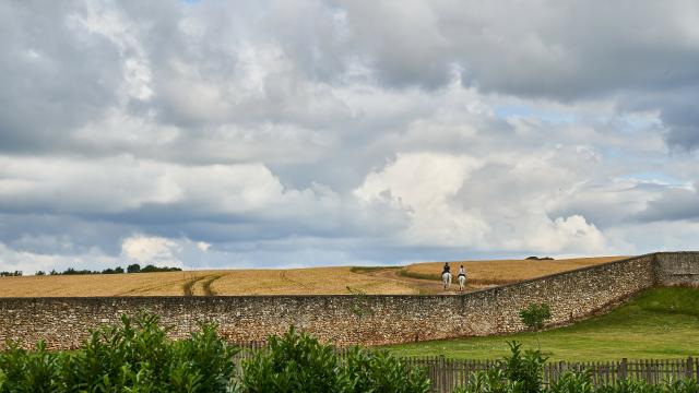 Ferme Du Trou Salé - cavaliers dans les champs