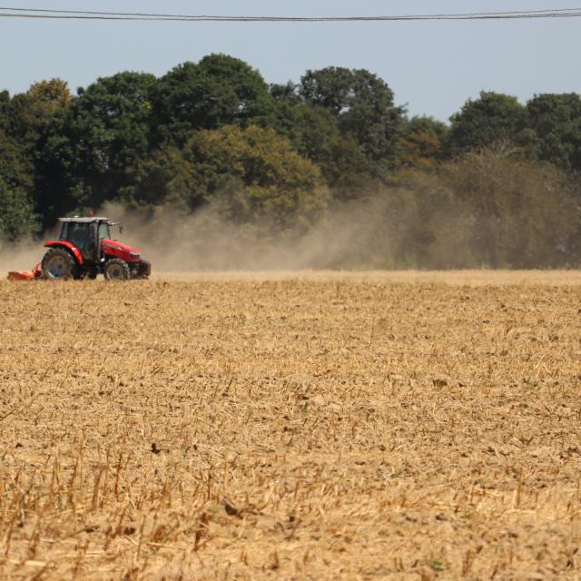 Arvalis - Institut du végétal - tracteur travaillant le sol en surface après la moisson