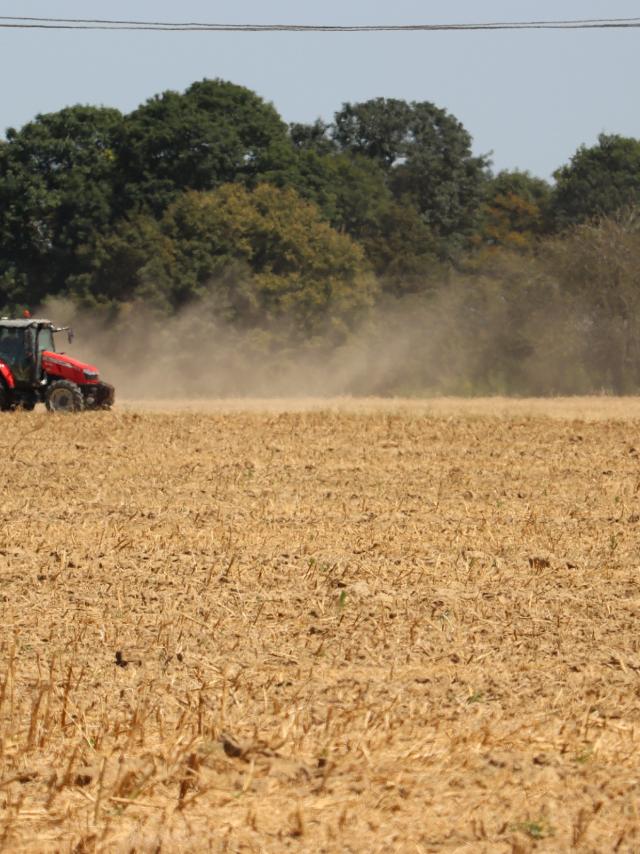 Arvalis - Institut du végétal - tracteur travaillant le sol en surface après la moisson