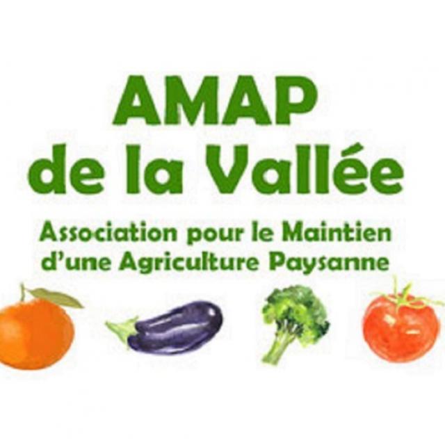 AMAP de la Vallée - logo