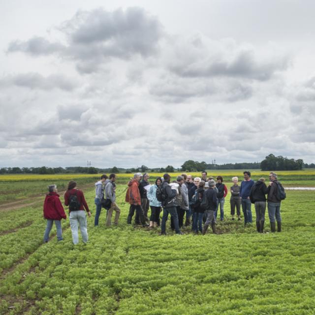 Visite des champs - AMAP Jardins de Cérès - Plateau de Saclay