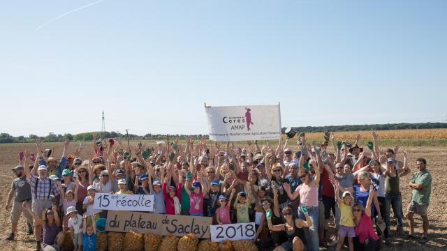 15 ème récolte du plateau de Saclay - AMAP Cérès - 2018