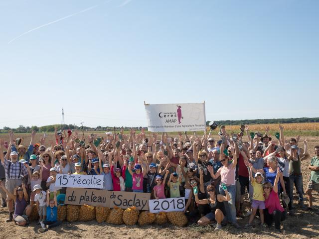 15 ème récolte du plateau de Saclay - AMAP Cérès - 2018