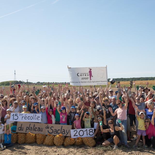 15 ème récolte du plateau de Saclay - AMAP Cérès - 2018