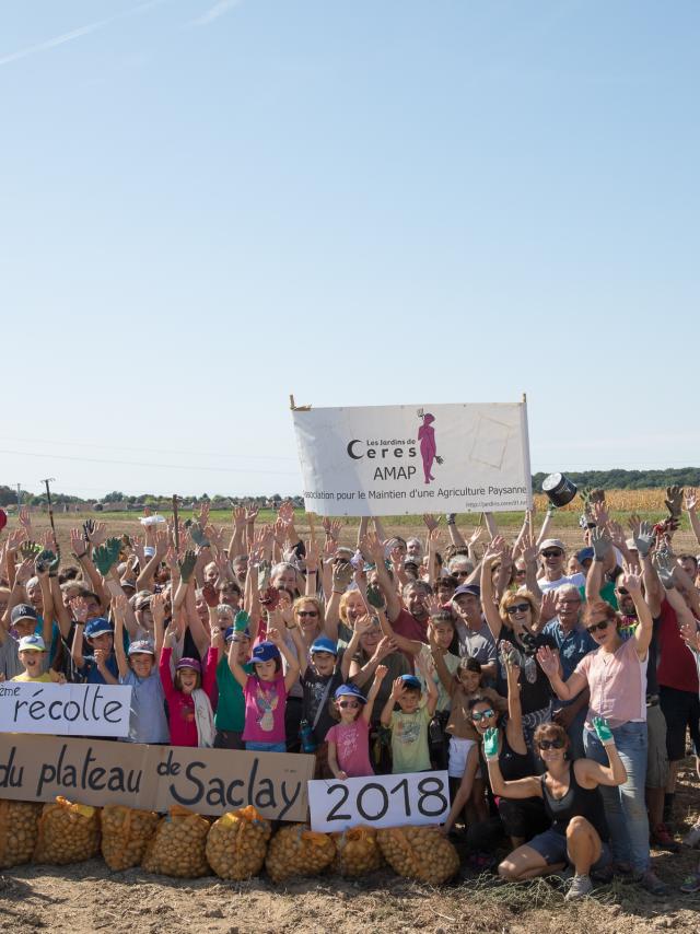 15 ème récolte du plateau de Saclay - AMAP Cérès - 2018