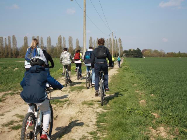 Randos vélos