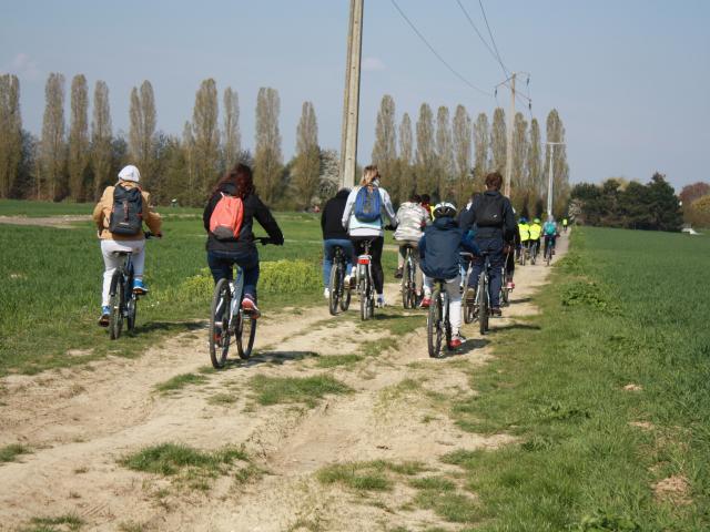 Randos vélos