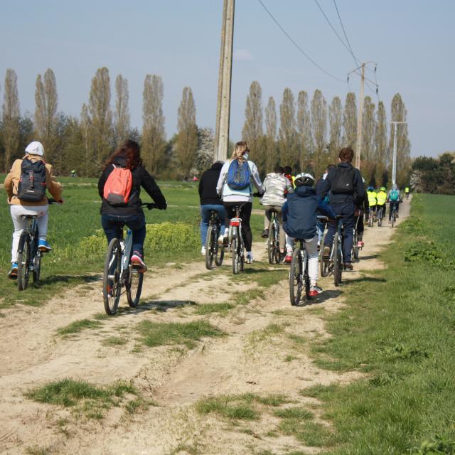 Randos vélos