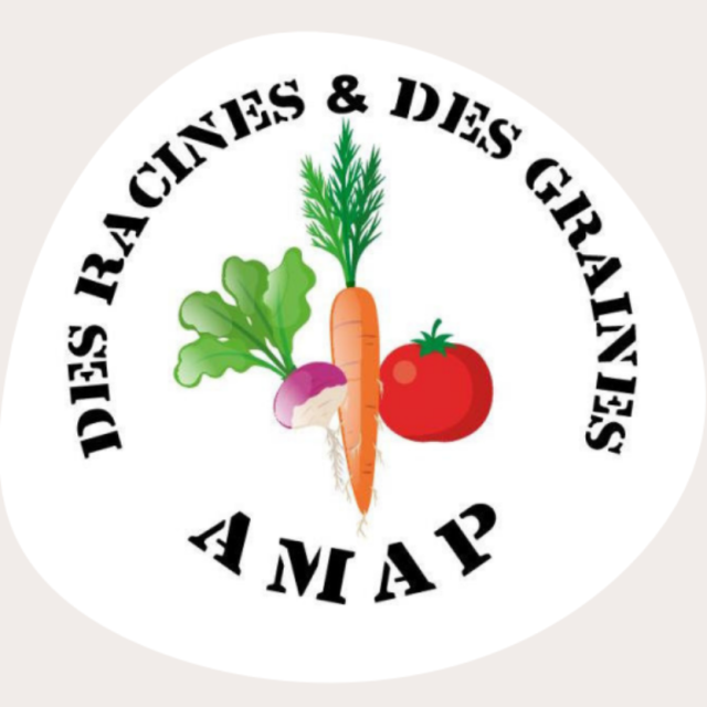 Logo - Des Racines et des Graines