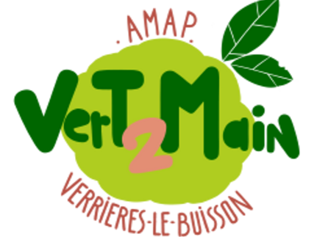 Logo Vert2main